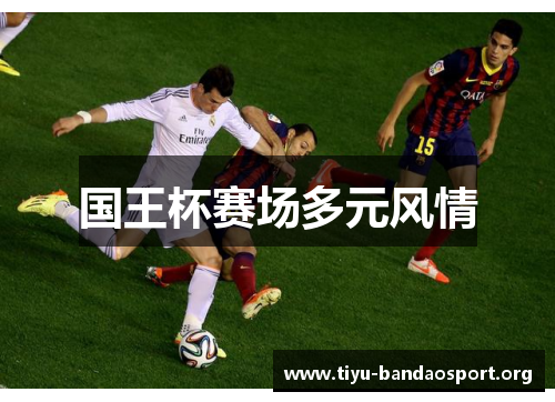 国王杯赛场多元风情 国王杯赛场多元风情