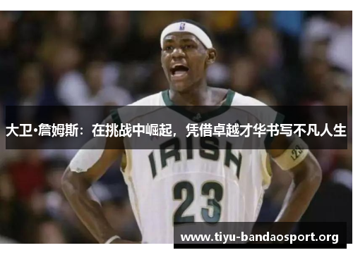 大卫·詹姆斯:在挑战中崛起,凭借卓越才华书写不凡人生 大卫·詹姆斯:在挑战中崛起,凭借卓越才华书写不凡人生