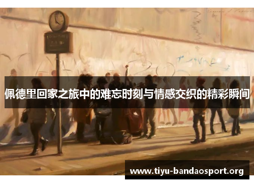 佩德里回家之旅中的难忘时刻与情感交织的精彩瞬间 佩德里回家之旅中的难忘时刻与情感交织的精彩瞬间