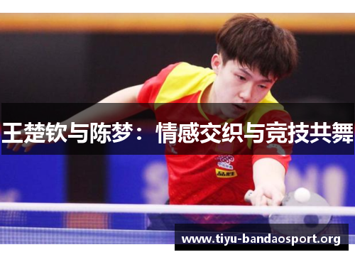 王楚钦与陈梦:情感交织与竞技共舞 王楚钦与陈梦:情感交织与竞技共舞