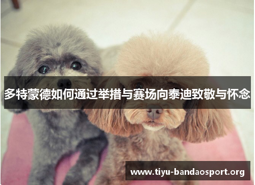 多特蒙德如何通过举措与赛场向泰迪致敬与怀念 多特蒙德如何通过举措与赛场向泰迪致敬与怀念