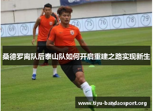 桑德罗离队后泰山队如何开启重建之路实现新生 桑德罗离队后泰山队如何开启重建之路实现新生