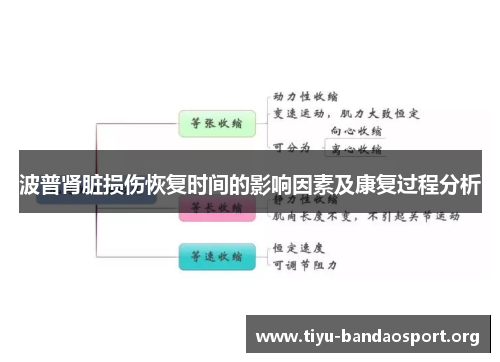 波普肾脏损伤恢复时间的影响因素及康复过程分析 波普肾脏损伤恢复时间的影响因素及康复过程分析
