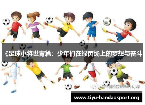 《足球小将世青篇:少年们在绿茵场上的梦想与奋斗》 《足球小将世青篇:少年们在绿茵场上的梦想与奋斗》