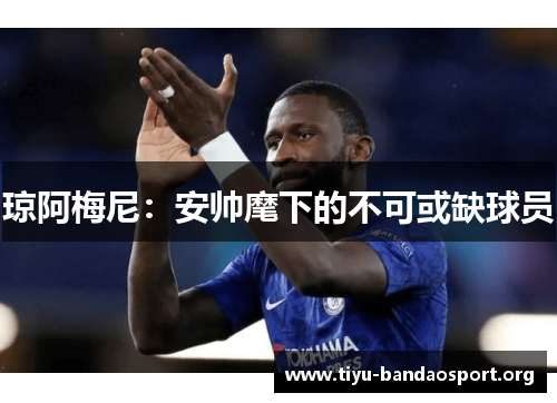 琼阿梅尼:安帅麾下的不可或缺球员 琼阿梅尼:安帅麾下的不可或缺球员