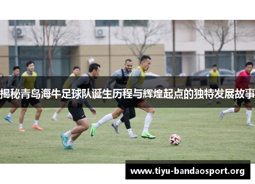 揭秘青岛海牛足球队诞生历程与辉煌起点的独特发展故事 揭秘青岛海牛足球队诞生历程与辉煌起点的独特发展故事