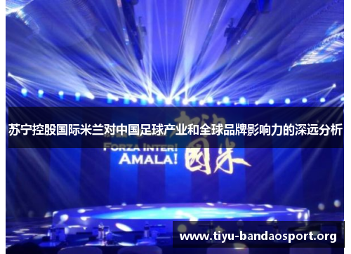 苏宁控股国际米兰对中国足球产业和全球品牌影响力的深远分析 苏宁控股国际米兰对中国足球产业和全球品牌影响力的深远分析